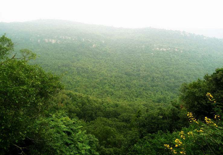 1. Sri Venkateswara National Park